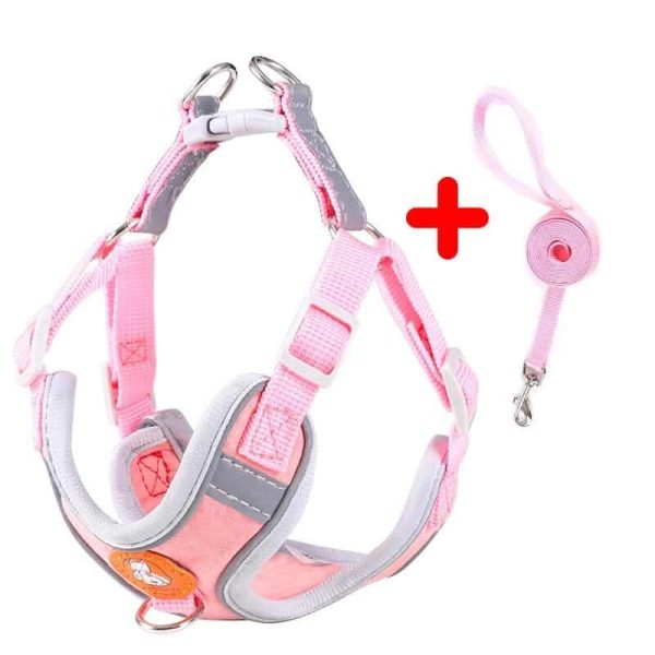 Dog Harness and Leash Dog Harness and Leash