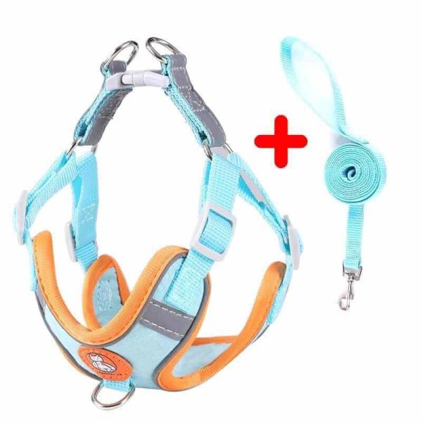 Dog Harness and Leash Dog Harness and Leash
