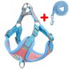 Dog Harness and Leash Dog Harness and Leash