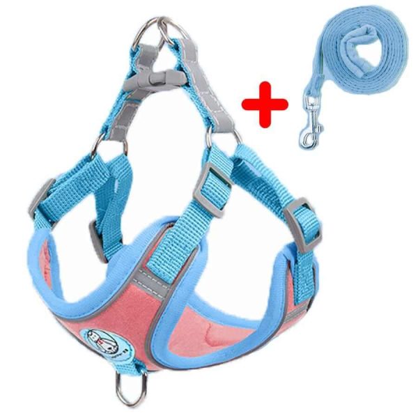 Dog Harness and Leash Dog Harness and Leash