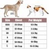 Dog Harness and Leash Dog Harness and Leash