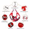 Dog Harness and Leash Dog Harness and Leash