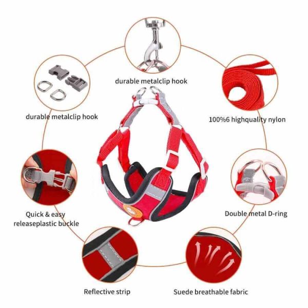 Dog Harness and Leash Dog Harness and Leash