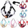 Dog Harness and Leash Dog Harness and Leash