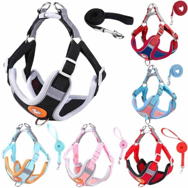 Dog Harness and Leash Dog Harness and Leash