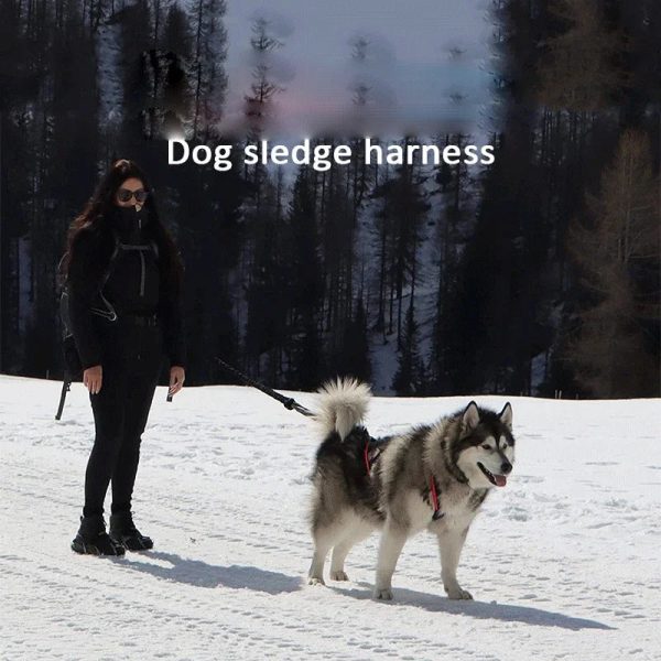 Dog Harness Mushing X Back Training Vest Dog Harness Mushing X Back Training Vest
