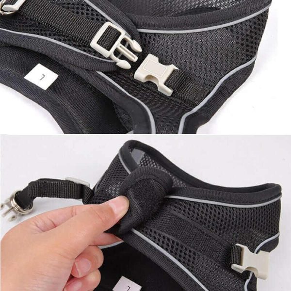 Dog Harness Vest and Leash