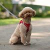 Dog Harness Vest and Leash