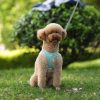 Dog Harness Vest and Leash