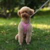Dog Harness Vest and Leash