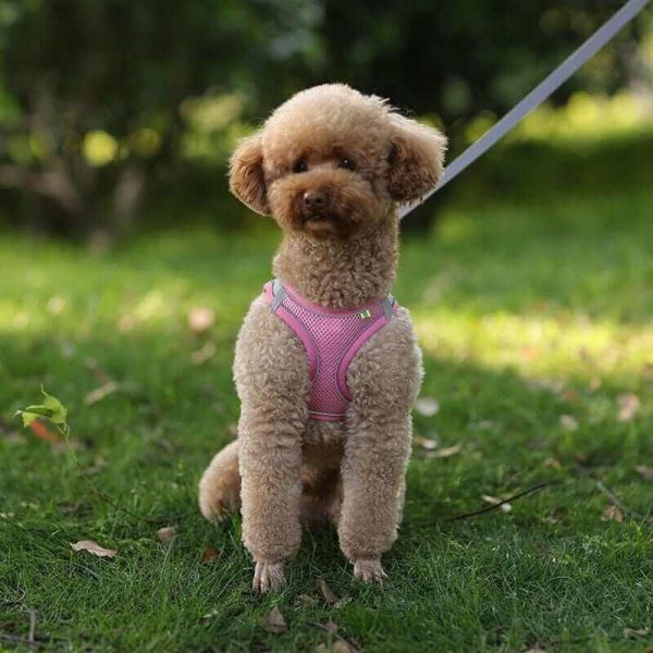 Dog Harness Vest and Leash