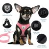 Dog Harness with Leash Dog Harness with Leash