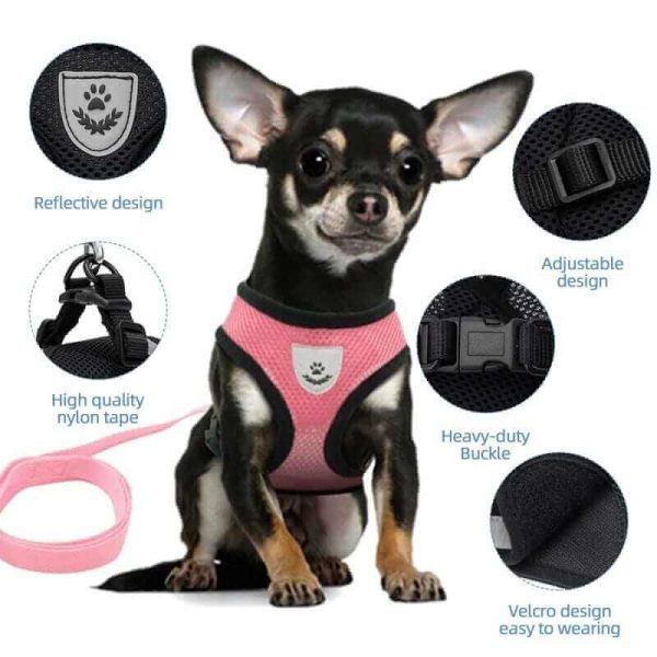 Dog Harness with Leash Dog Harness with Leash