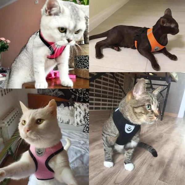 Dog Harness with Leash Dog Harness with Leash