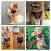 Dog Harness with Leash Dog Harness with Leash