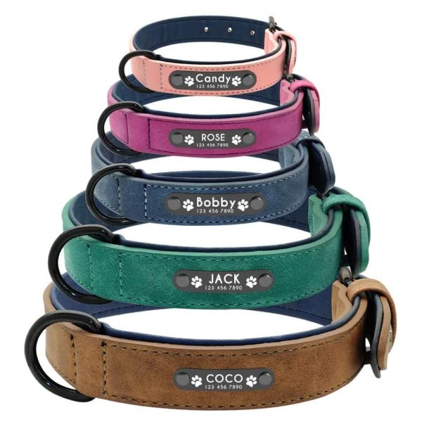 Dog ID Collar