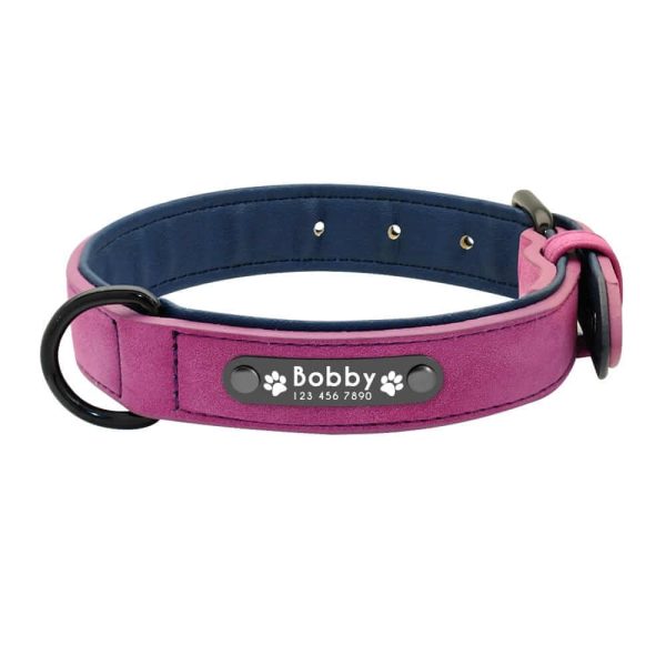 Dog ID Collar
