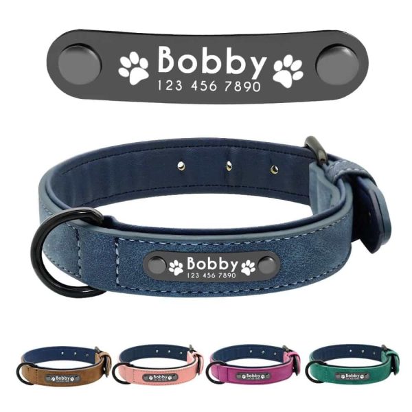Dog ID Collar