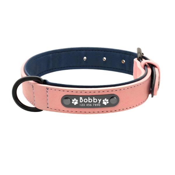 Dog ID Collar