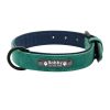 Dog ID Collar