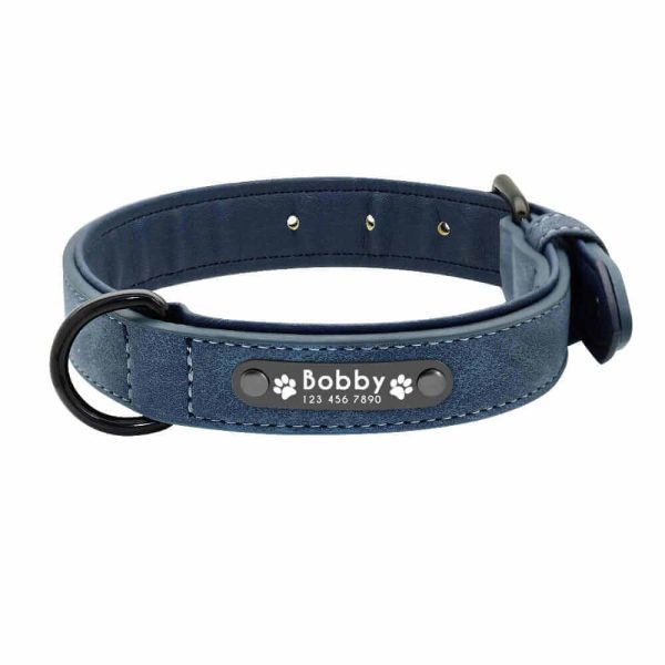 Dog ID Collar