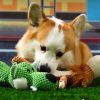 Dog Interactive Teeth Cleaning Toy Dog Interactive Teeth Cleaning Toy