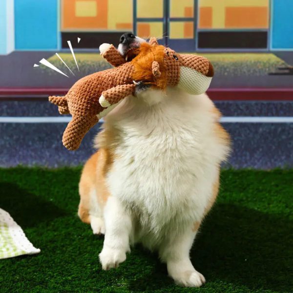 Dog Interactive Teeth Cleaning Toy Dog Interactive Teeth Cleaning Toy