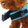 Dog Life Vest Dog Life Vest