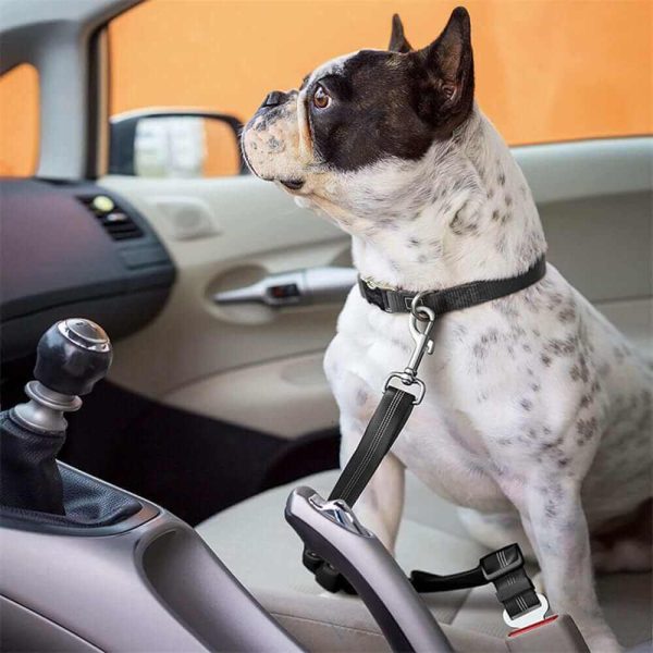 Dog Seat Belt Car Harness