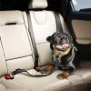 Dog Seat Belt Car Harness