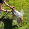 Dog Shower Gun with 3 Mode Dog Shower Gun with 3 Mode