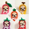 Dog Winter Hoodies