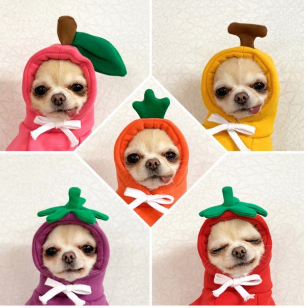 Dog Winter Hoodies