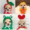 Dog Winter Hoodies