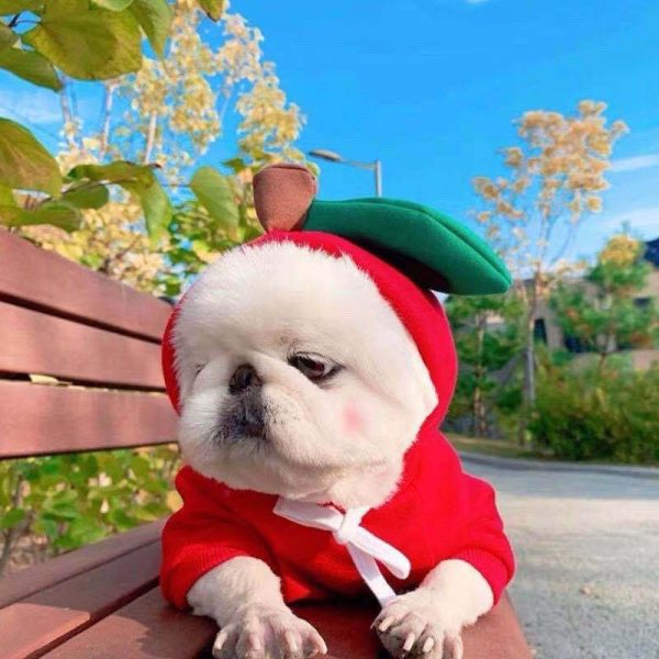 Dog Winter Hoodies