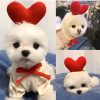 Dog Winter Hoodies