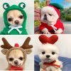 Dog Winter Hoodies