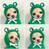 Dog Winter Hoodies