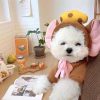 Dog Winter Hoodies