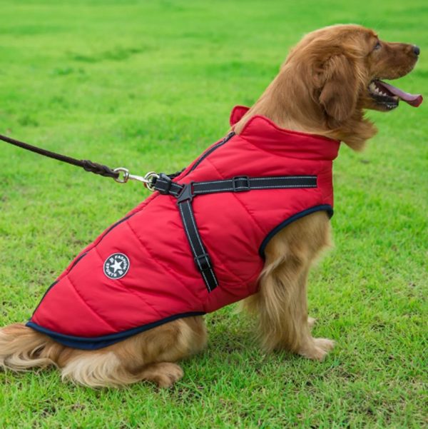 Dog Winter Waterproof Jacket