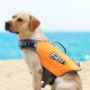 Doggy Life Preserver