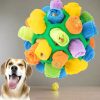 Doggy Snuffle Ball