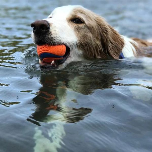 Durable Chew-Resistant Rubber Dog Ball Durable Chew-Resistant Rubber Dog Ball