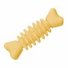 Durable Chew Toys for Dogs