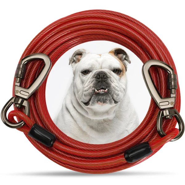 Durable Leash for Large Dogs