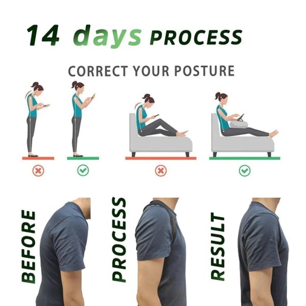 Ergonomic Posture Support Belt Ergonomic Posture Support Belt