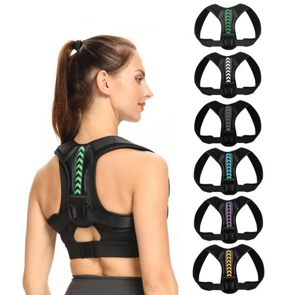 Ergonomic Posture Support Belt Ergonomic Posture Support Belt