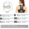 Ergonomic Posture Support Belt Ergonomic Posture Support Belt