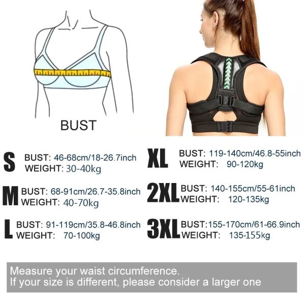 Ergonomic Posture Support Belt Ergonomic Posture Support Belt