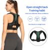 Ergonomic Posture Support Belt Ergonomic Posture Support Belt